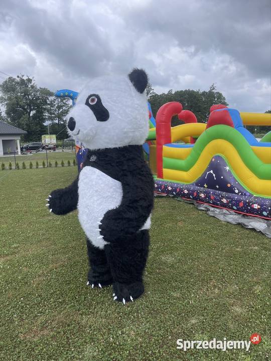 Wynajmujemy duże maskotki chodzące Mega Panda