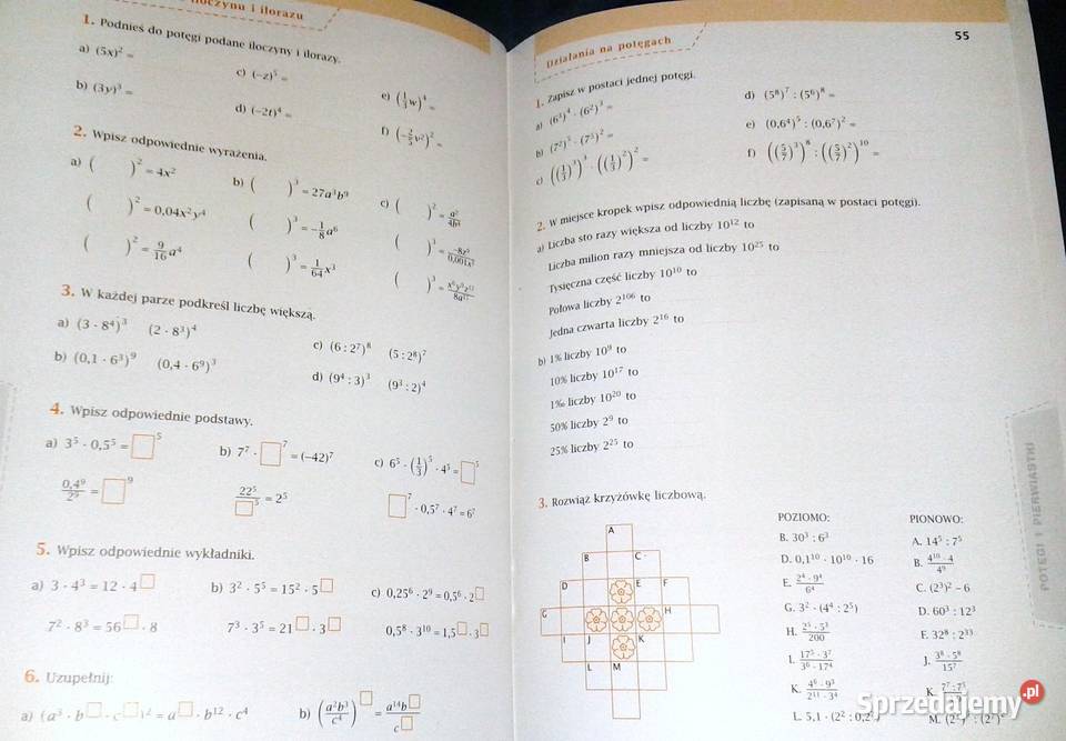Matematyka Z Plusem Klasa 7 ćwiczenia Str 14 Matematyka z plusem 7 - Zeszyt ćwiczeń - M. Dobrowolska Chełm