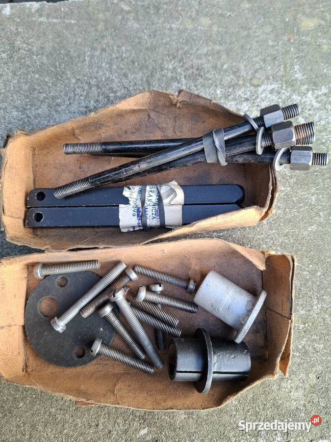 Wsk wfm wielkopolskie Szamotuły