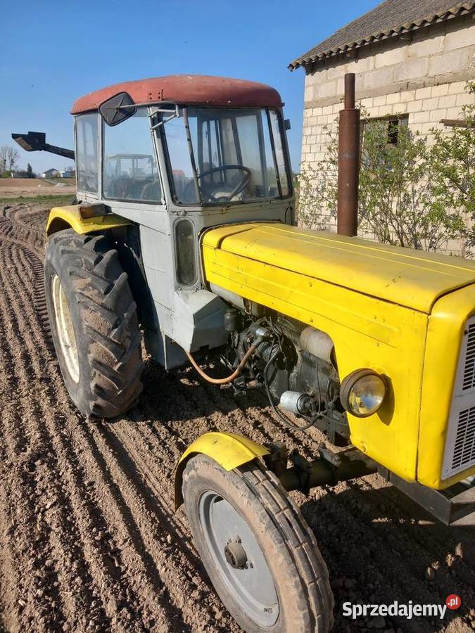 Ursus kujawsko-pomorskie Koneck