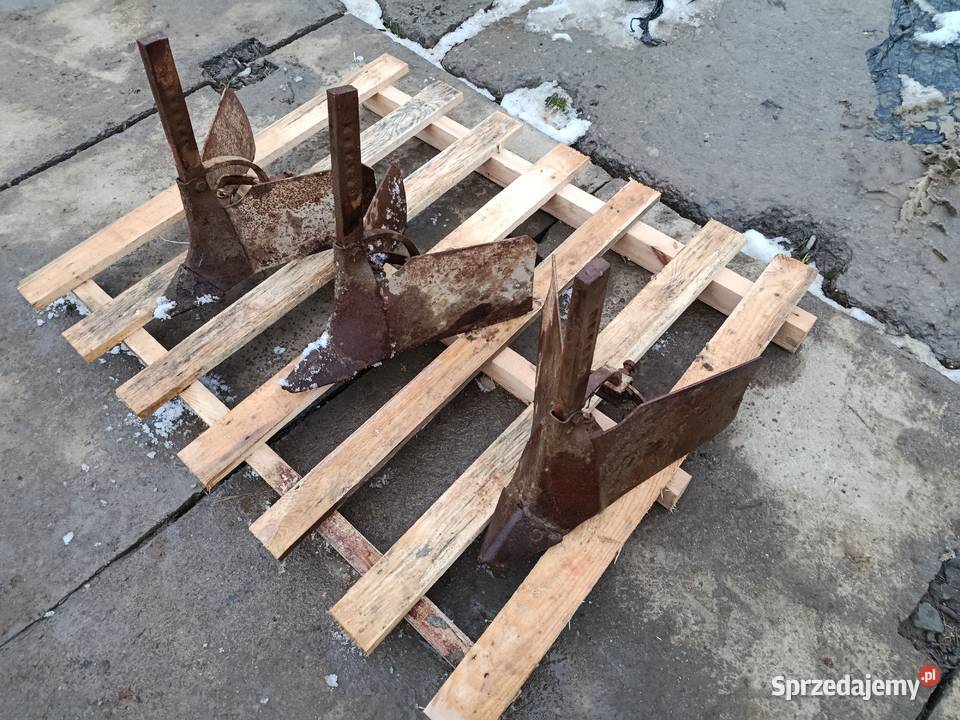 Redlice czeskie 3 wysyłka Limanowa