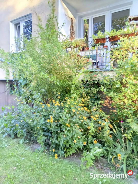 Mieszkanie 48m2garażpomieszczenie gospodarcze w 48m2 Mieszkania Kałuszyn