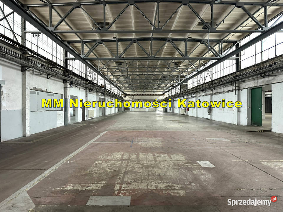 Hala do wynajęcia Katowice plac suwnica biura