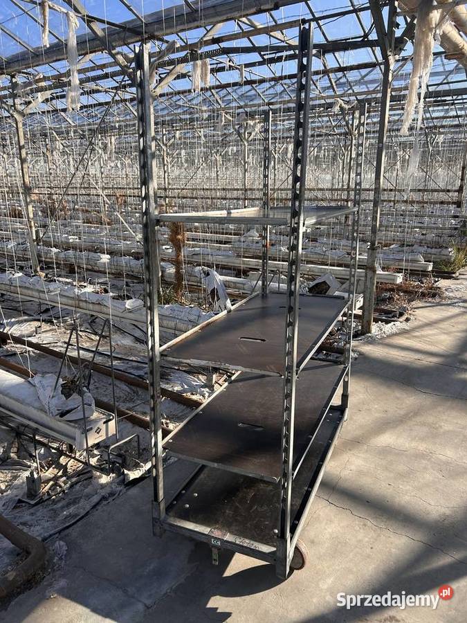 Półki do wózków duńskich kwikatowych CC regałów