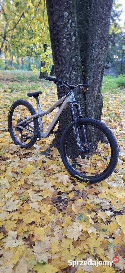 Dartmoot hornet pro Białystok sprzedam