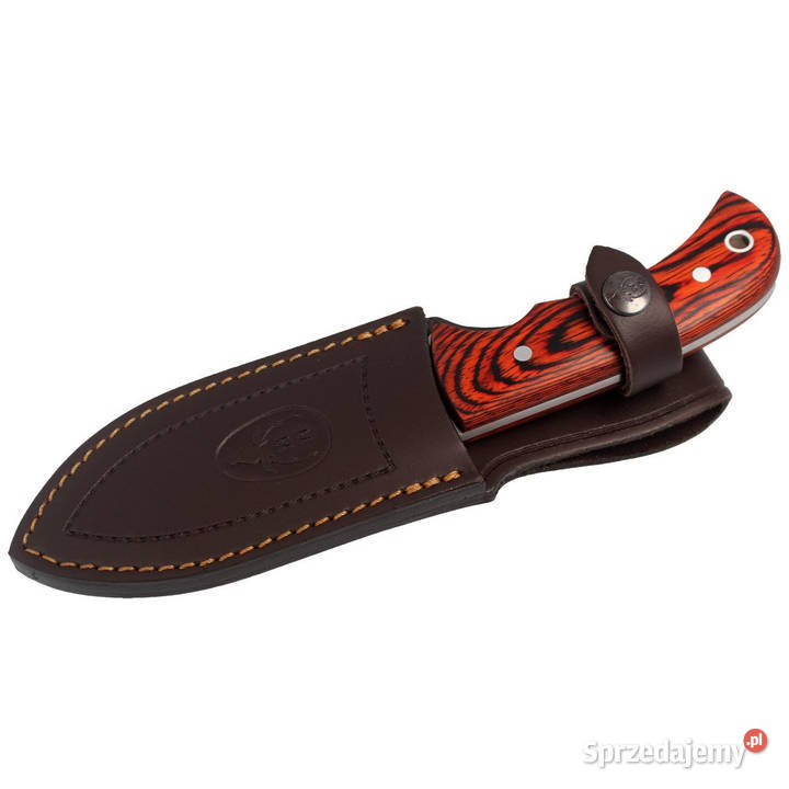 Nóż Muela Bisonte11R Pakka Wood Satin X50CrMoV15 Akcesoria, narzędzia i noże Warszawa