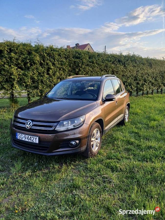 Volkswagen Toguan 20TDI 110 Bluemotion Nowe śląskie