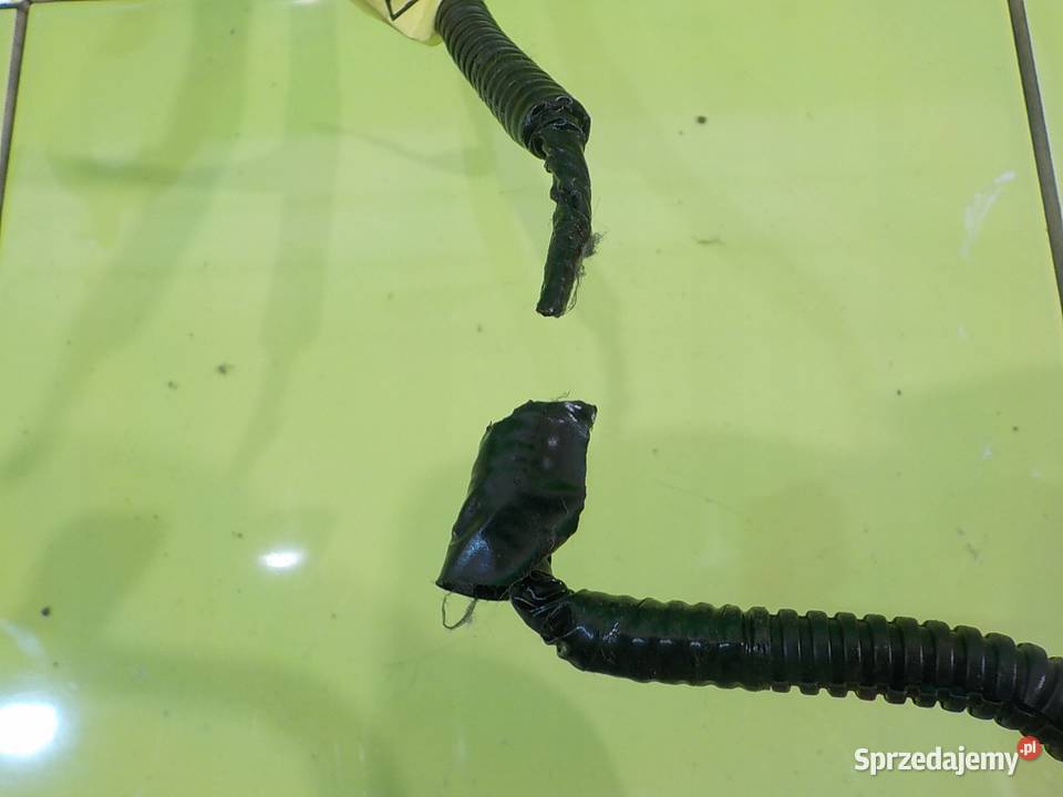 INSIGHT II 13 IMA 10r HB 5D pas bezpieczenstwa osobowe mazowieckie Suków