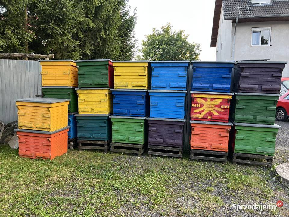 Ule Dadant drewniane 18ramkowe dolnośląskie sprzedam