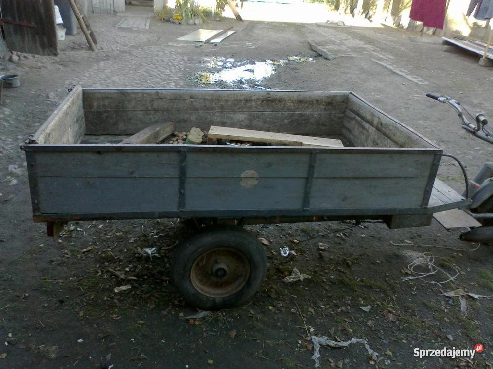 dzik z silnikiem wsk Kotlin