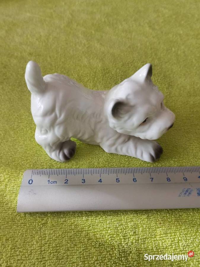Figurka porcelanowa piesek Westie Figurki Toruń