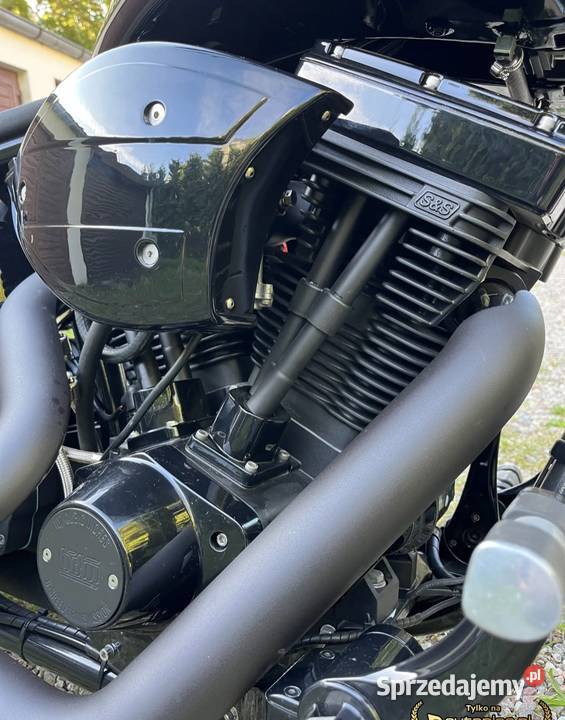 Big Dog Harley Davidson Gdańsk