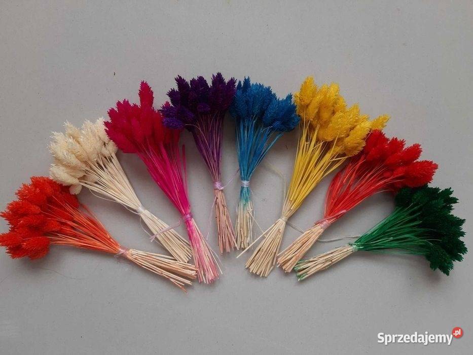 Suszone rośliny do palm bukietów Dom i Ogród Lublin