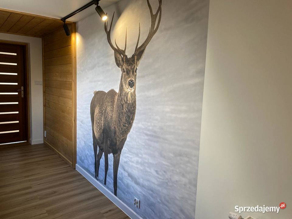 Apartamenty Zakopane Ferie zima centrum sauna 26