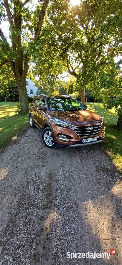 Sprzedam Hyunday Tucson nieuszkodzony kujawsko-pomorskie Krusze sprzedam