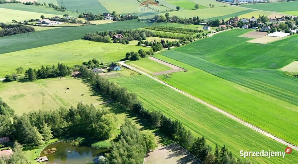 Kicin kPoznania3007 m idealna pod dom 60m Sprzedaż