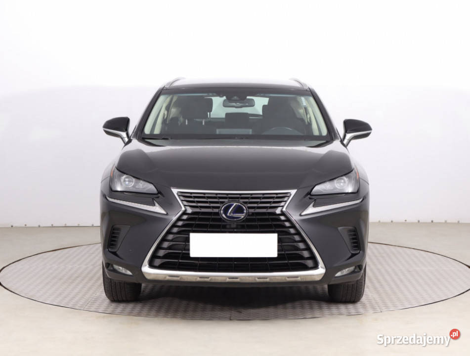Lexus NX 300h tempomat Piaseczno