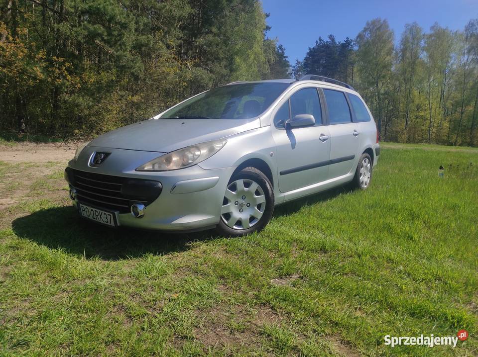 Peugeot 307 2007 16hdi 109 300100km