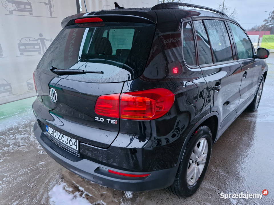 Volkswagen tiguan 2016 Tiguan Wilkowo