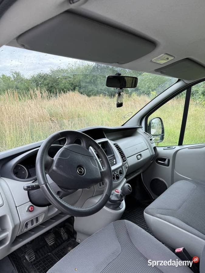 Opel Vivaro 2010 Diesel 20 CDTI stan 419 Rok produkcji 2010