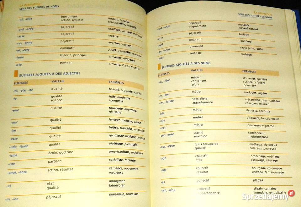 Vocabulaire Le Robert Nathan Rok wydania 1999 Chełm