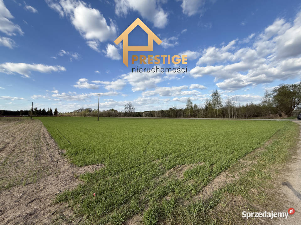 Działki budowlane lesieNowy Świat gmina