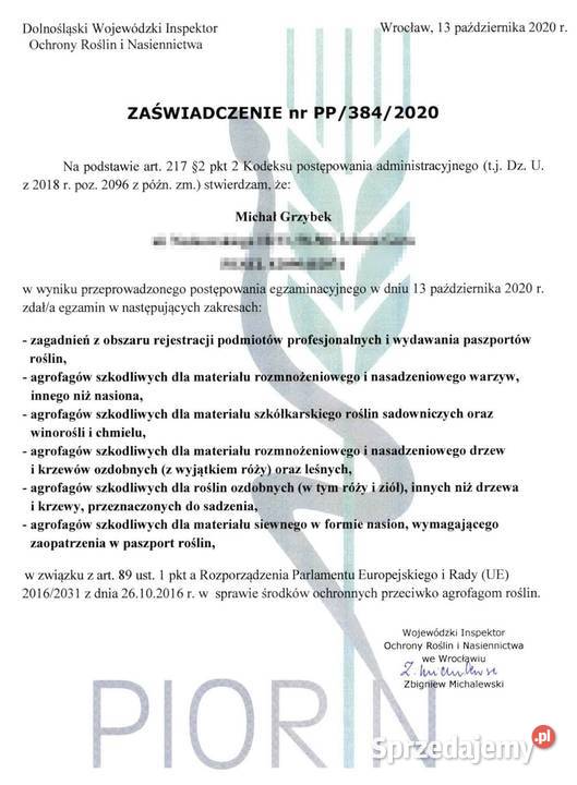 POMIDOR CORAZON rozsada sadzonka Pozostałe Jelenia Góra