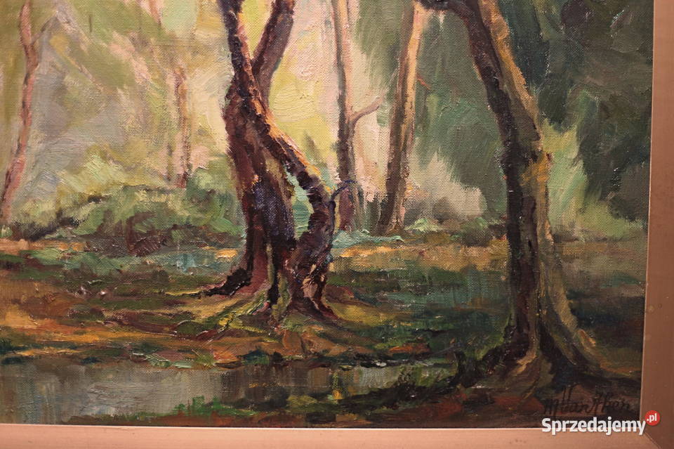 Van Aken pejzaż leśny Lubin