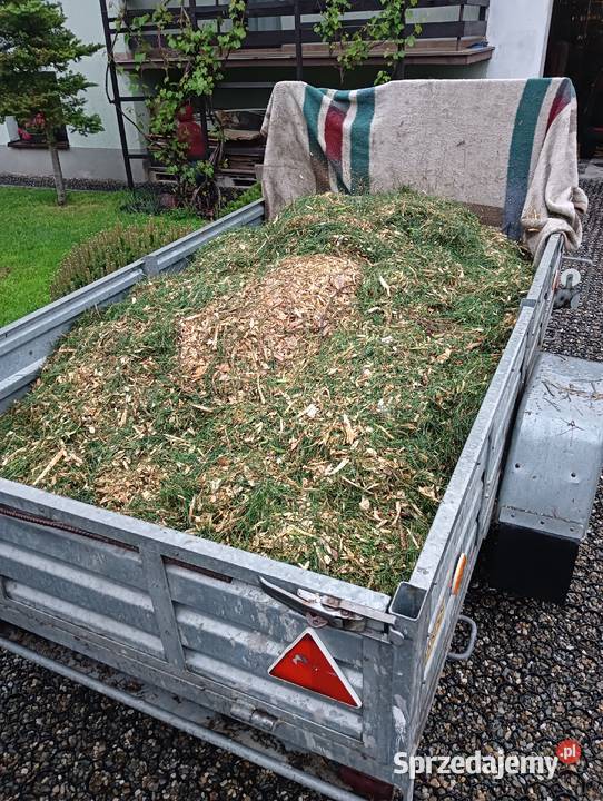 zrębka z gałęzi sosnowych podsypka kompost Niepołomice