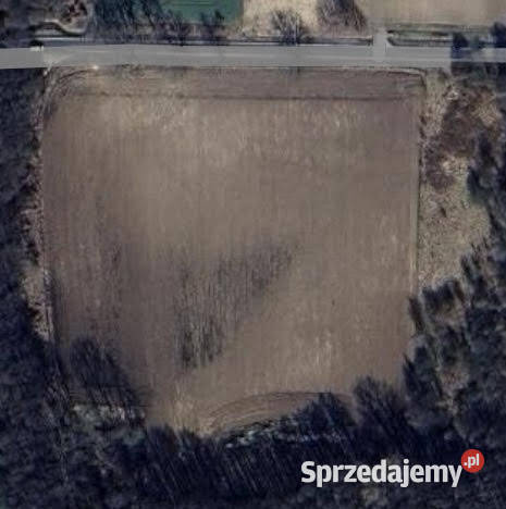 Na sprzedaż działka 279 ha Zielona Góra