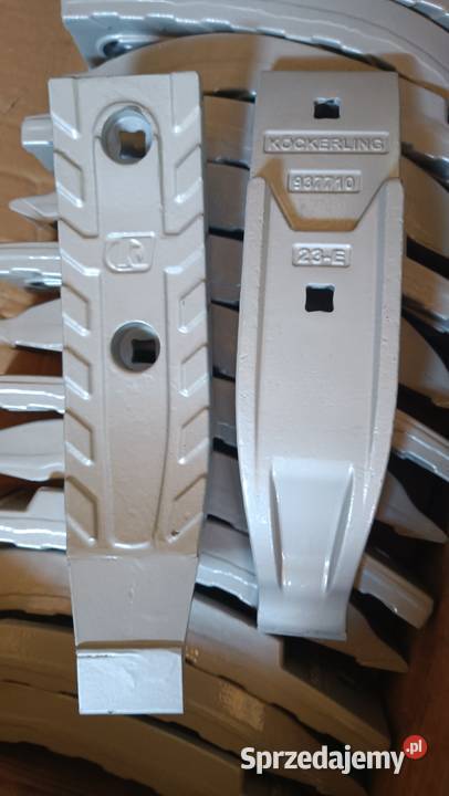 937710 Redlica dziób czubek Kockerling Trio zachodniopomorskie Dolice