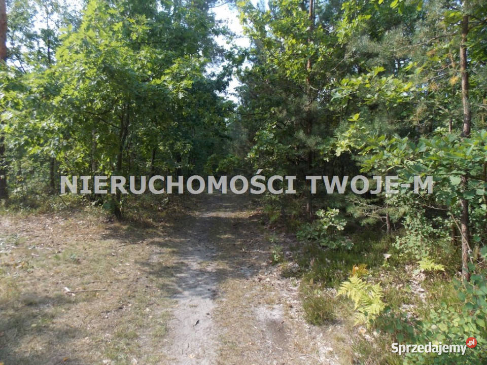 grunt 1530m2 Ostrowiec Świętokrzyski