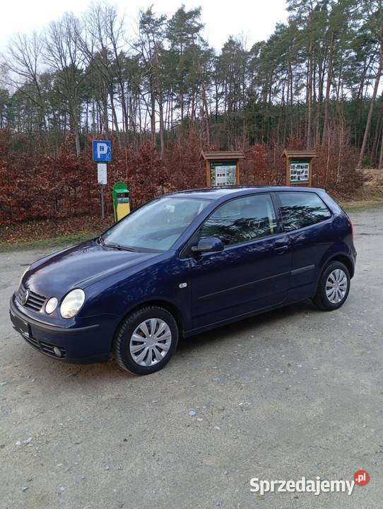 Volkswagen Polo 14 Benzyna Dłutów