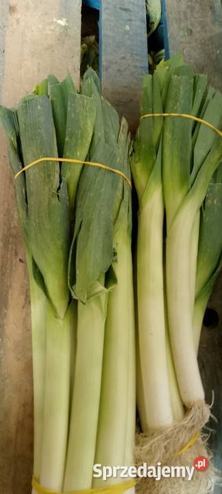 Por warzywa Łaźniewek