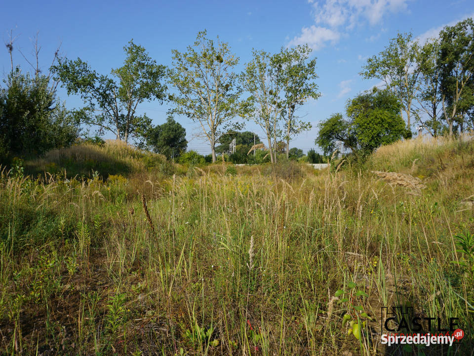 działka z projektem hali I PKP I inwestycja kanalizacja Pruszcz Gdański