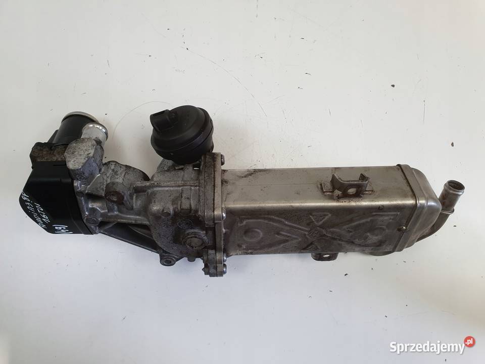 Audi A3 II 8P 16 TDI CHŁODNICA SPALIN egr osobowe Recyrkulacja spalin EGR lubelskie Chełm