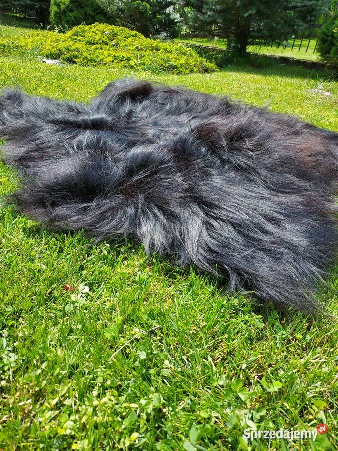 Dywanik z Owczej Wełny Czarne Skóry Naturalne Szaflary sprzedam