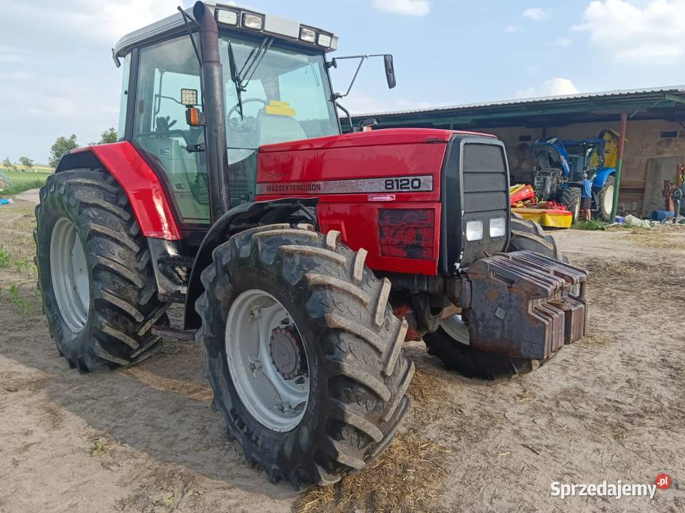 Massey Ferguson 8120 Massey Ferguson kujawsko-pomorskie Zajączkowo