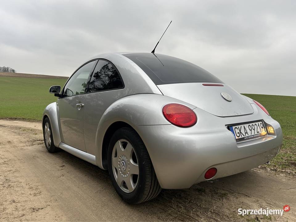 New beetle Vw