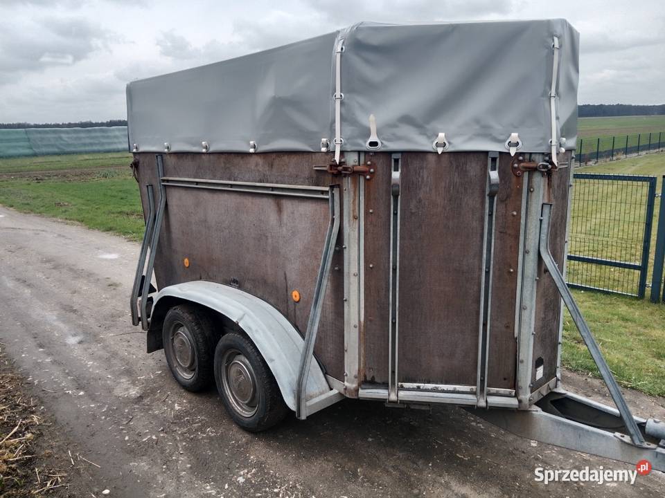 Przyczepa Bockmann sprzedam Pawonków