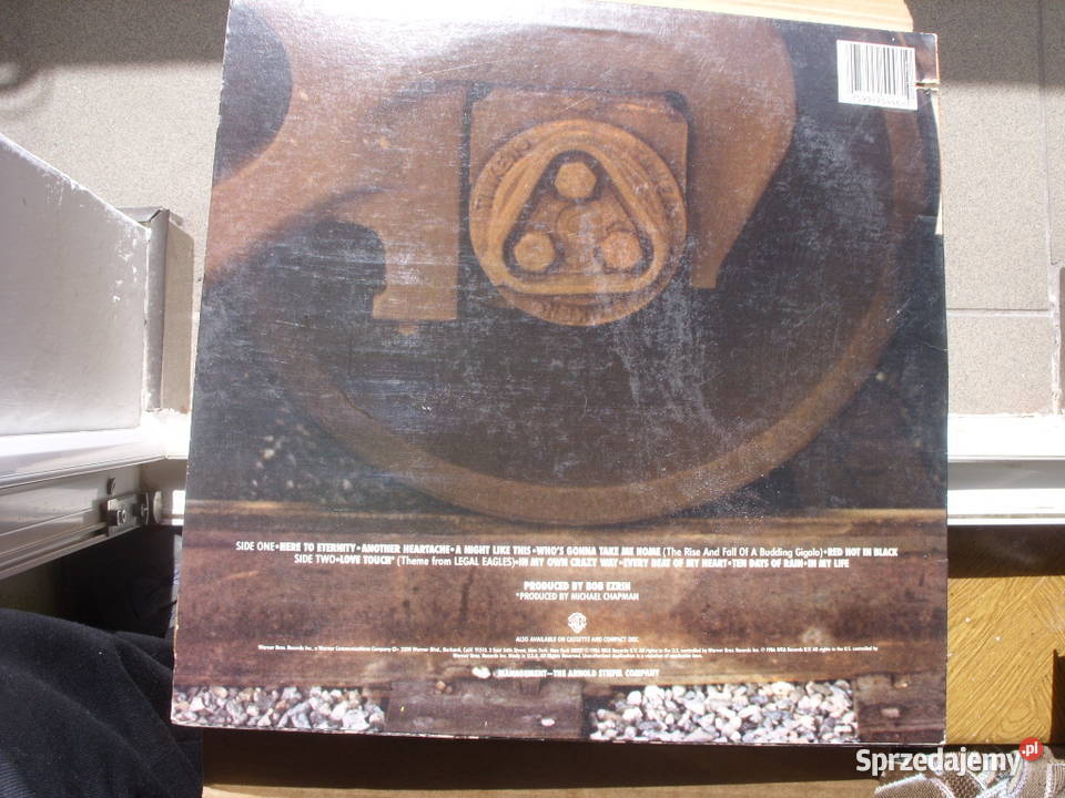 Winyl lp Rock ROD STEWARTHERE TO ETERNITY Warner