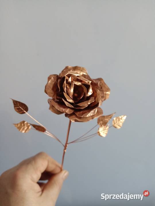 Róże miedziane metaloplasyka Rybnik