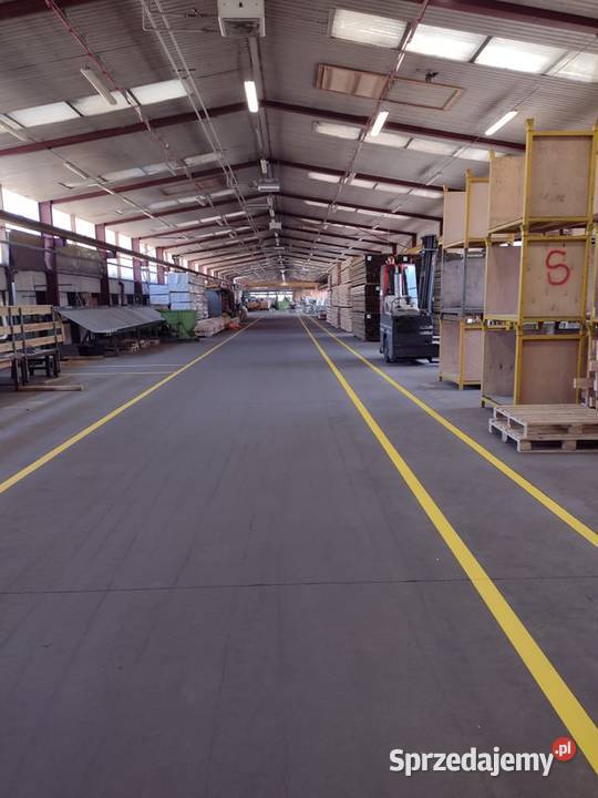 Malowanie hal przemysłowych produkcyjnych linii Gdańsk