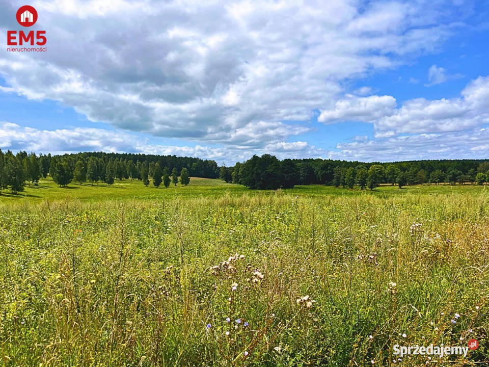 Sprzedaż działki 1500m2 Małdyty 106zł/m2 warmińsko-mazurskie sprzedam