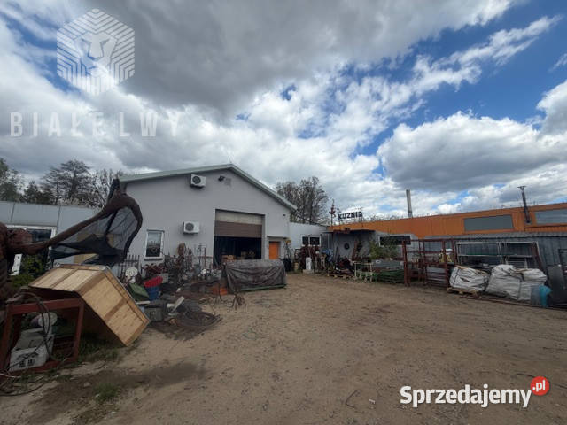 Lokal Lesznowola 23297m2 232.97m2 Sprzedaż