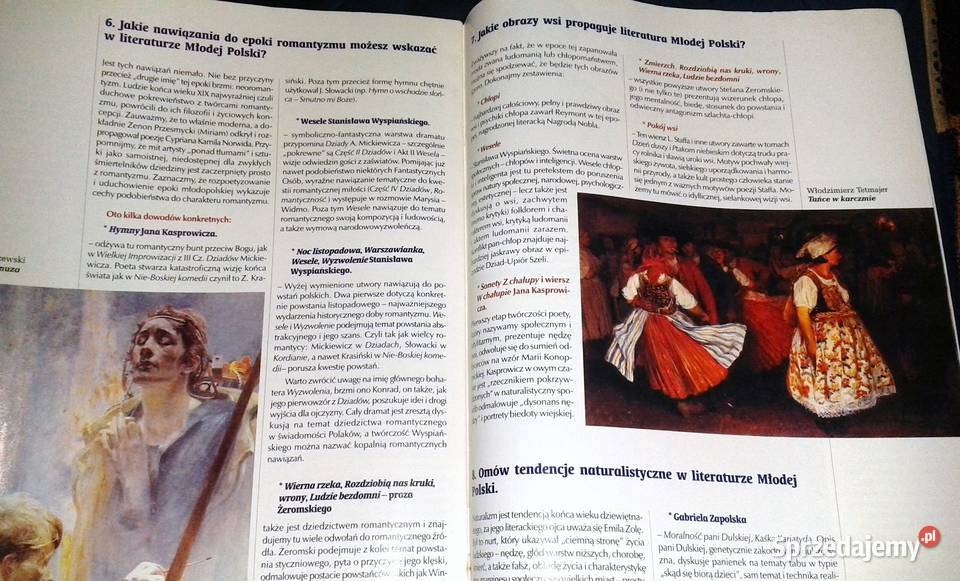 Cogito Język polski 6 Pytania i odpowiedzi