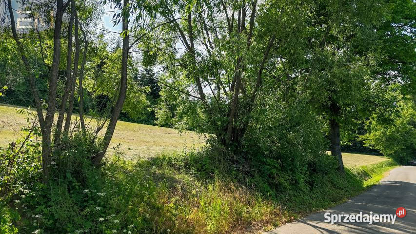 Działka Werlas 10000m2