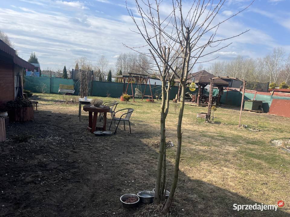 Sprzedam działkę ROD Oaza Plock Płock