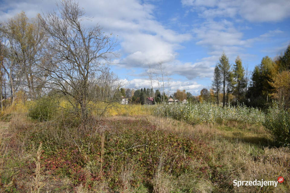 Działka 1937a Rzeszów Sprzedaż sprzedam
