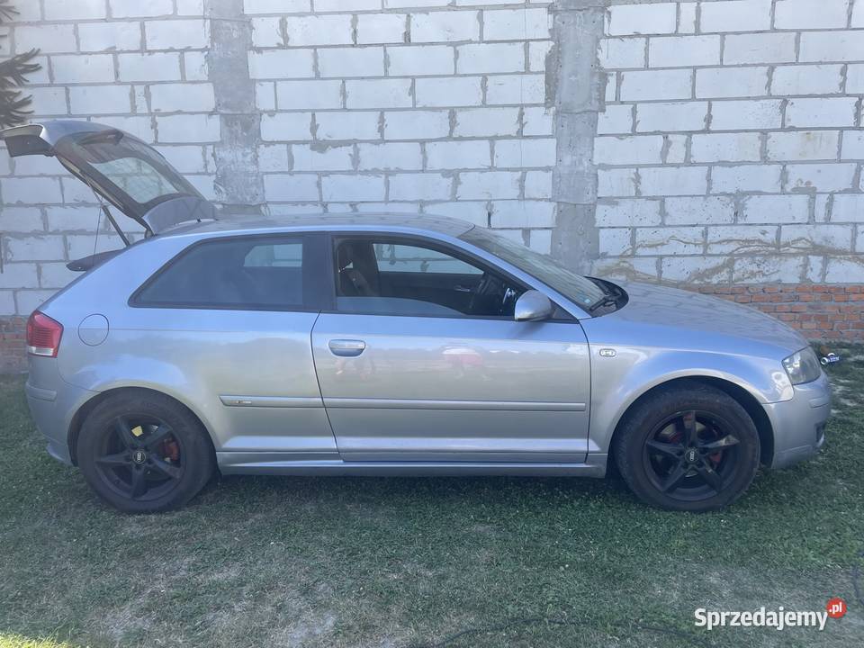 Audi a3 8p 19 diesel